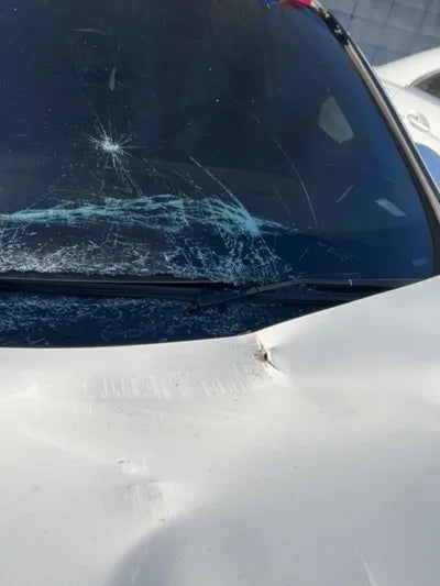 2019 Mercedes-Benz A 220 VIN: