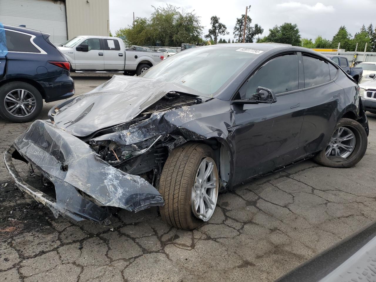 2024 TESLA MODEL Y  VIN:7SAYGDEE8RF083009