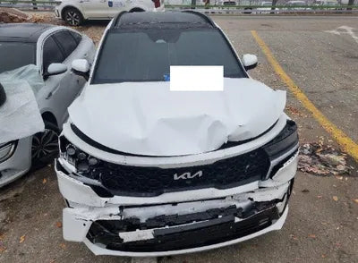2023 Kia Sorento KNARJ81GBPA204006 VIN:KNARJ81GBPA204006