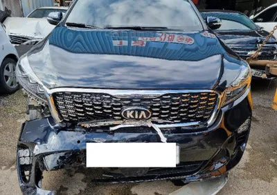 2019 Kia Sorento KNAPH81BBKA522715 VIN:KNAPH81BBKA522715