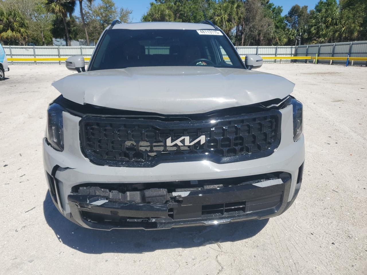 2024 KIA TELLURIDE EX VIN:5XYP3DGC7RG429690