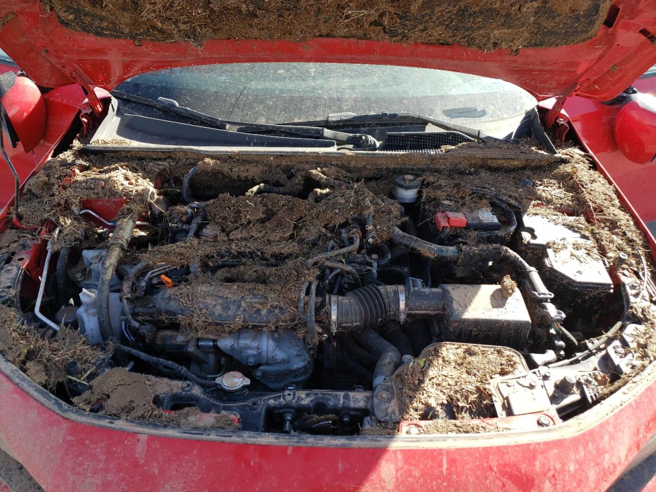 2023 HONDA CIVIC TOURING VIN:2HGFE1F96PH307302