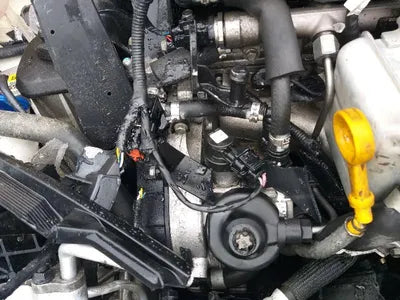 2022 Kia Sportage KNAPW81CBNK008169 VIN:KNAPW81CBNK008169