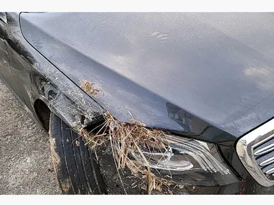 2020 Mercedes-Benz S 350 W1KUF2BB2LA560651 VIN:W1KUF2BB2LA560651