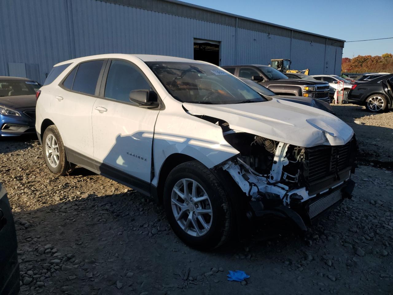 2024 CHEVROLET EQUINOX LS VIN:3GNAXHEG2RL187575