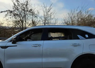 2021 Kia Sorento KNARH81BGMA066156 VIN:KNARH81BGMA066156