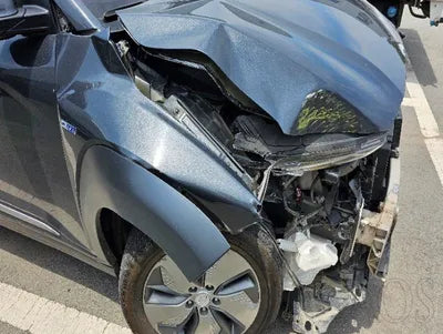 2019 Hyundai Kona KMHK281GFKU033139 VIN:KMHK281GFKU033139