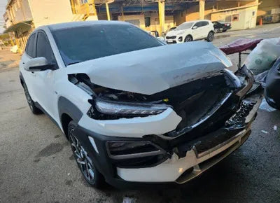 2020 Hyundai Kona KMHK381EGLU028060 VIN:KMHK381EGLU028060