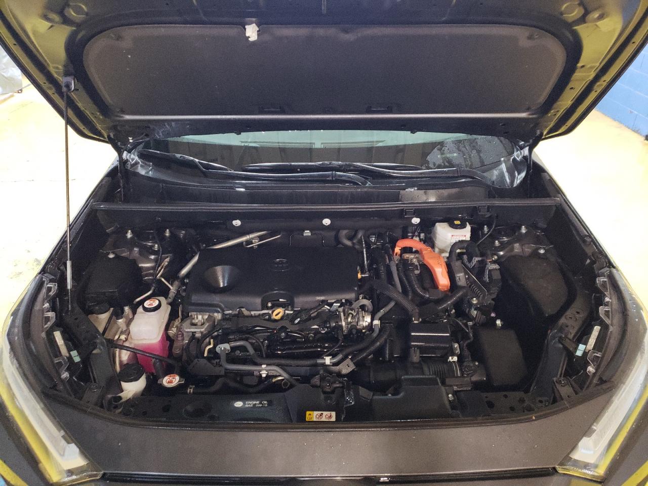 2022 TOYOTA RAV4 XLE VIN:4T3RWRFVXNU056169