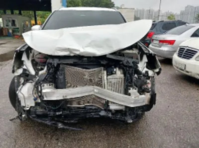 2021 Kia Sorento KNARF81BGMA104673 VIN:KNARF81BGMA104673
