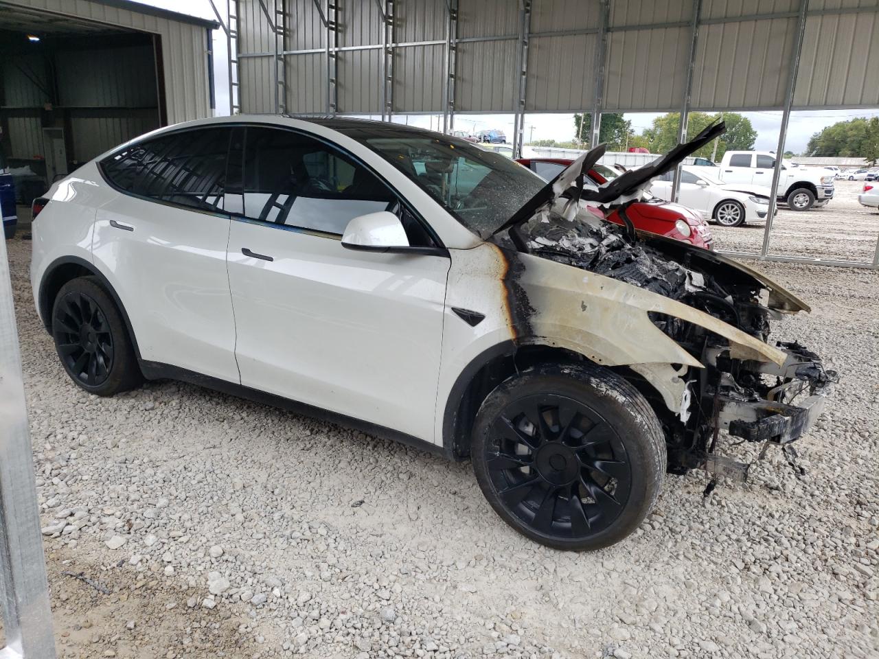 2023 TESLA MODEL Y  VIN:7SAYGDEE8PA074871