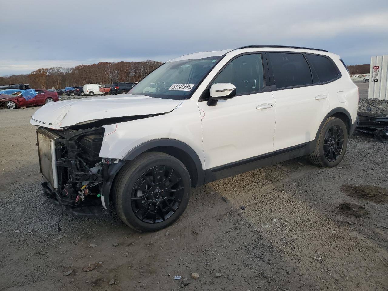 2022 KIA TELLURIDE EX VIN:5XYP3DHC3NG252841