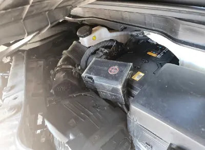 2021 Kia Carnival KNANE81BBMS067853 VIN:KNANE81BBMS067853