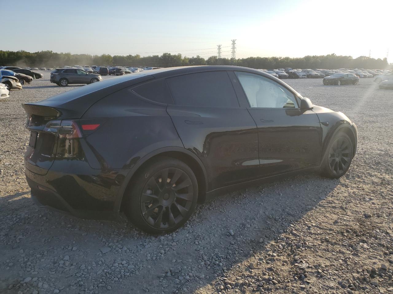 2023 TESLA MODEL Y  VIN:7SAYGDEE6PA190991