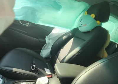 2020 Hyundai Kona KMHK4815GLU563369 VIN:KMHK4815GLU563369