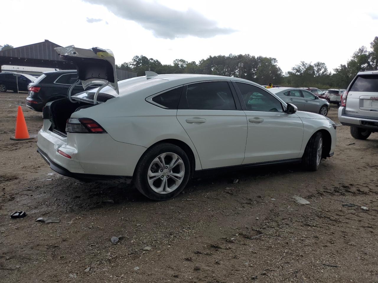 2023 HONDA ACCORD LX VIN:1HGCY1F26PA055529