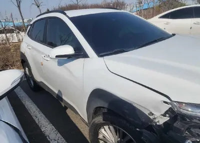 2020 Hyundai Kona KMHK4815GLU563369 VIN:KMHK4815GLU563369