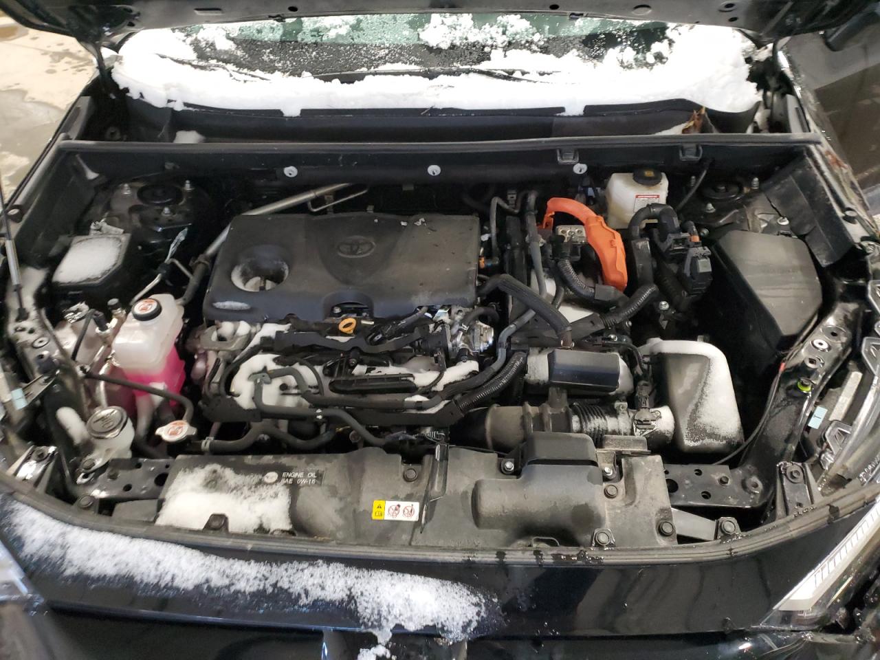 2024 TOYOTA RAV4 LE VIN:2T3LWRFV7RW194764