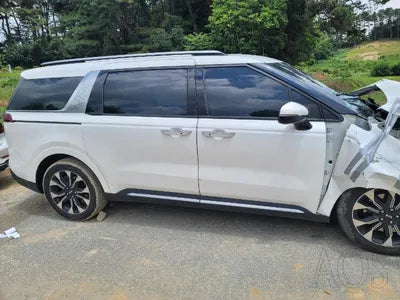 2020 Kia Carnival KNANC81BBMS004700 VIN:KNANC81BBMS004700