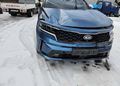 2021 Kia Sorento KNARK81BGMA022168 VIN:KNARK81BGMA022168