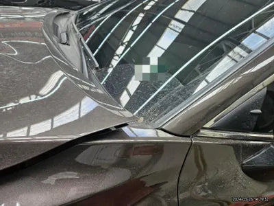 2021 Toyota Camry JTNBA1HK8M3003102 VIN:JTNBA1HK8M3003102