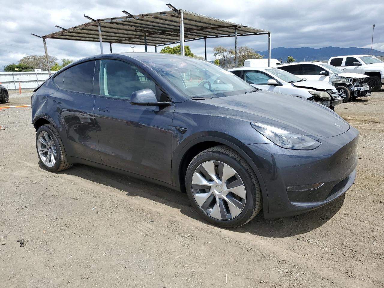 2024 TESLA MODEL Y  VIN:7SAYGDEE1RA254700