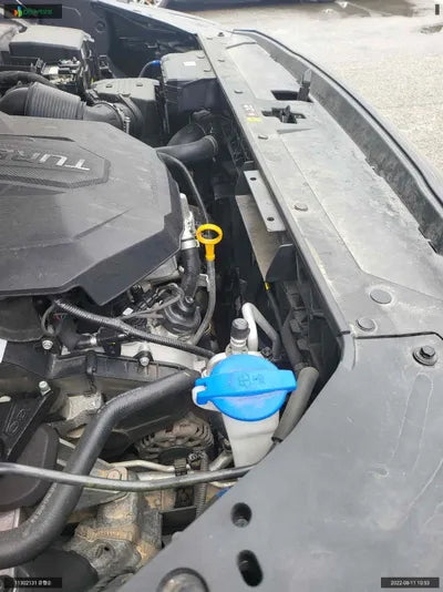 2020 Hyundai Santa FE KMHS281HGMU334862 VIN:KMHS281HGMU334862