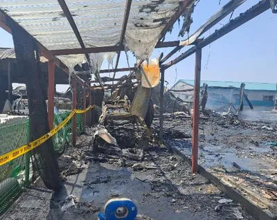 2020 BMW 520 WBA11BH05MCF54916 VIN:WBA11BH05MCF54916