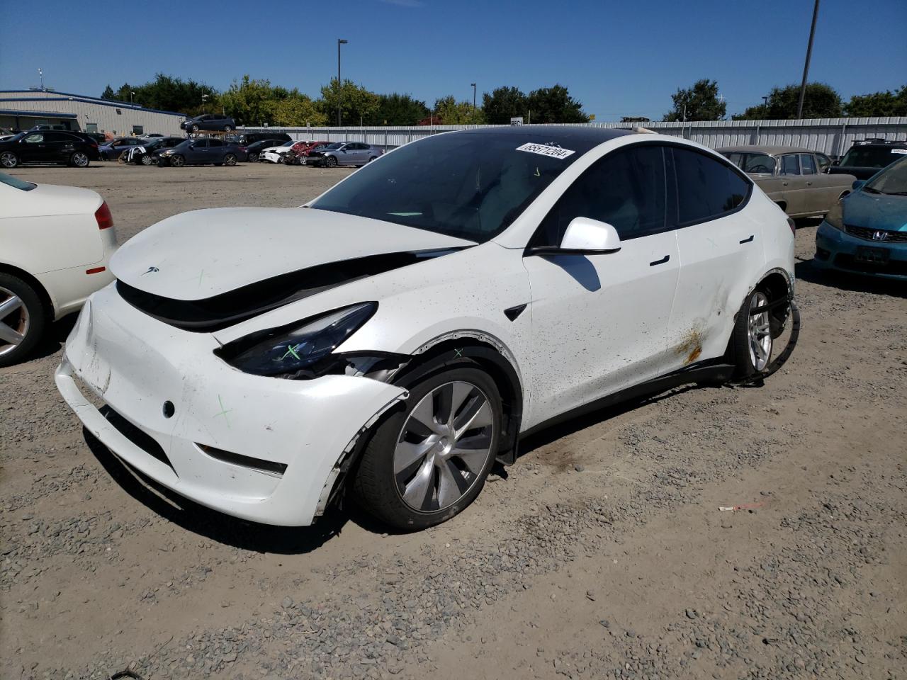 2023 TESLA MODEL Y  VIN:7SAYGDEE9PF620340