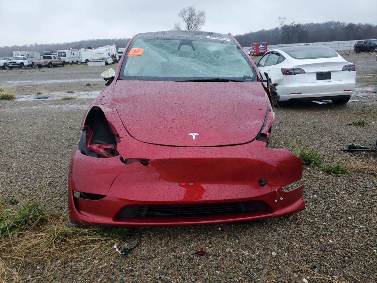2024 TESLA MODEL Y  VIN:7SAYGDEE8RF183711