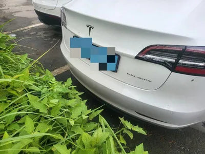 2021 Tesla Model 3 VIN: