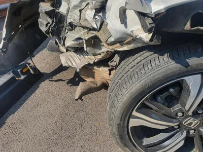 2017 Honda Civic 19XFC2670HE300013 VIN:19XFC2670HE300013