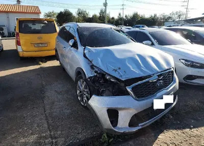 2020 Kia Sorento KNAPG81BBLA610348 VIN:KNAPG81BBLA610348