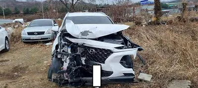 2019 Hyundai Santa FE KMHS381BBKU051777 VIN:KMHS381BBKU051777