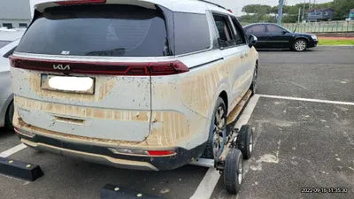 2023 Kia Carnival KNANE813BPS210259 VIN:KNANE813BPS210259