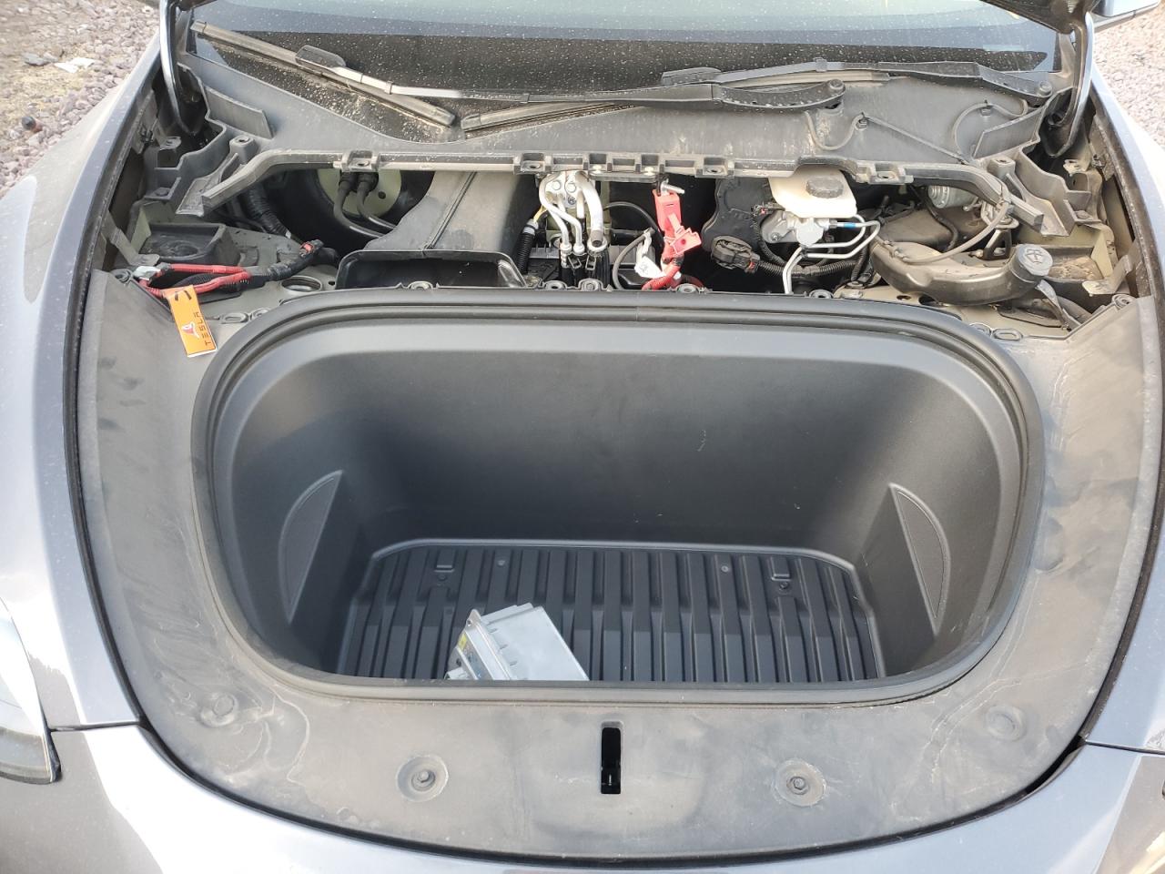 2023 TESLA MODEL Y  VIN:7SAYGDEE6PF860607