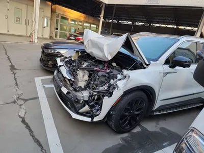 2021 Kia Sorento KNARF81BHMA039262 VIN:KNARF81BHMA039262