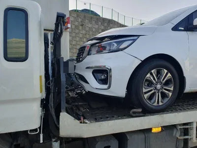 2019 Kia Carnival KNAMB81ABKS556683 VIN:KNAMB81ABKS556683