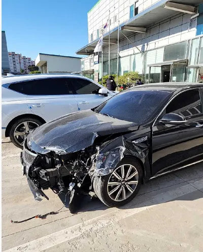 2019 Kia K5 KNAGT411BKA320729 VIN:KNAGT411BKA320729