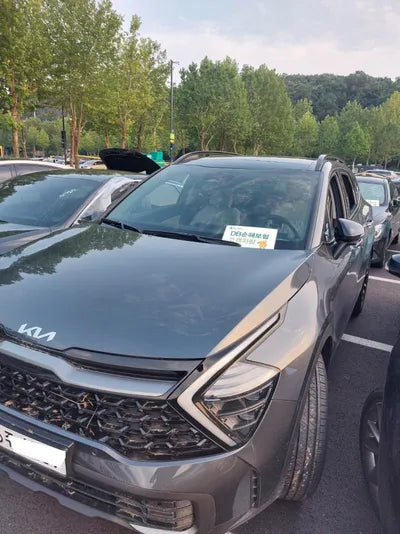 2021 Kia Sportage KNAPX81GBNK001919 VIN:KNAPX81GBNK001919