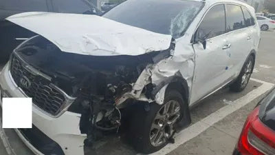 2020 Kia Sorento KNAPH81BDLA635607 VIN:KNAPH81BDLA635607