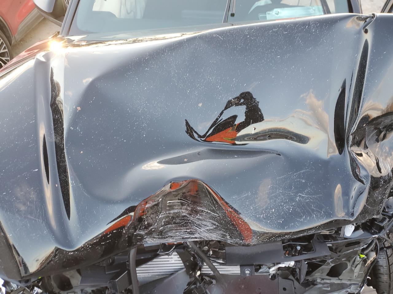 2024 TOYOTA TACOMA DOUBLE CAB VIN:3TYKD5HN0RT008804