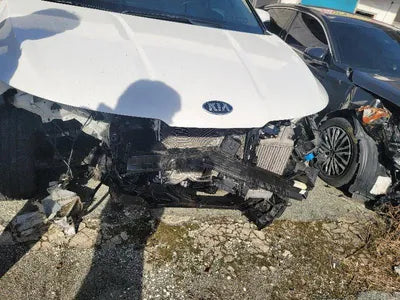 2021 Kia Carnival KNANE81BBMS068076 VIN:KNANE81BBMS068076