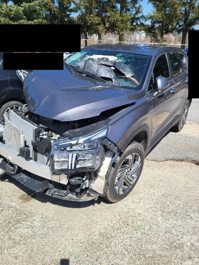 2020 Hyundai Santa FE KMHS281HHMU324774 VIN:KMHS281HHMU324774