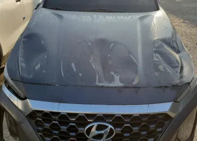 2020 Hyundai Santa FE 1KMHS281BBLU26378 VIN:1KMHS281BBLU26378