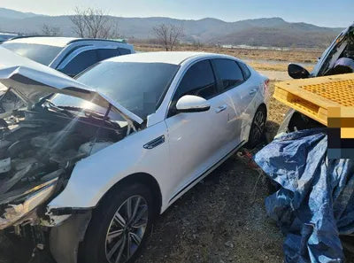 2019 Kia K5 KNAGT411BKA338141 VIN:KNAGT411BKA338141