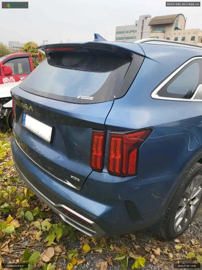 2022 Kia Sorento KNARF81BHPA179003 VIN:KNARF81BHPA179003