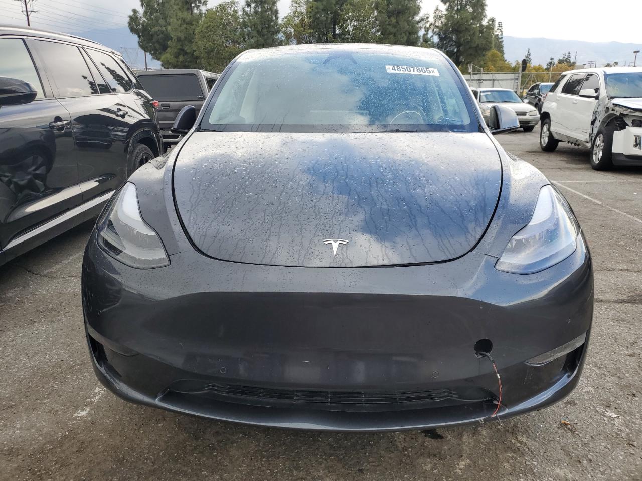 2024 TESLA MODEL Y  VIN:7SAYGDED1RF052031