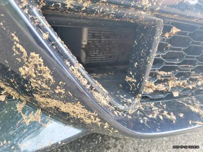 2022 BMW 840 WBAGV4108NCJ40788 VIN:WBAGV4108NCJ40788