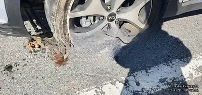 2017 Kia Sportage NONE VIN: